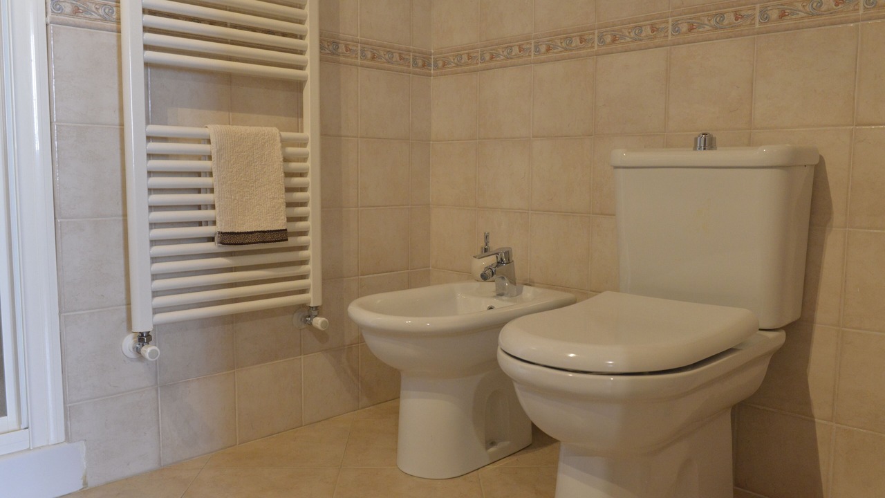Photo of Bathroom in Massarosa
