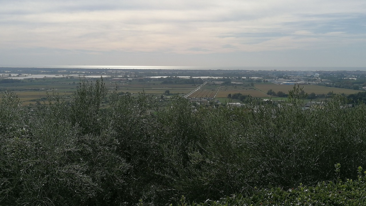 Photo of Others in Massarosa