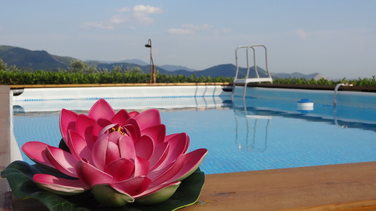 Photo of Outdoor in Massarosa
