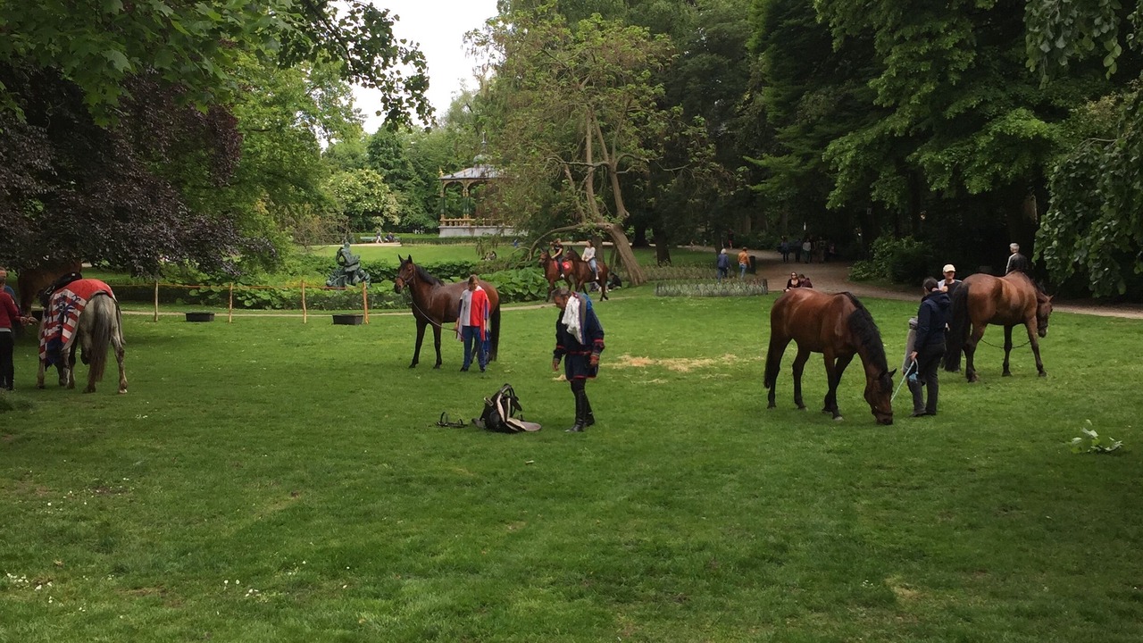 Photo of Others in Vlissegem