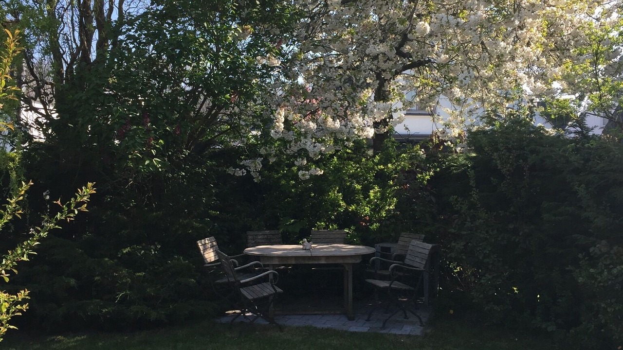 Photo of Outdoor in Vlissegem