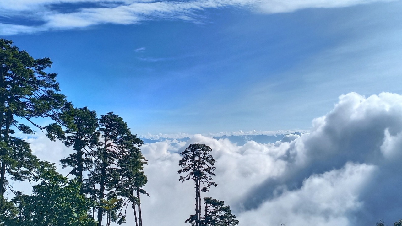 Photo of Others in Thimphu
