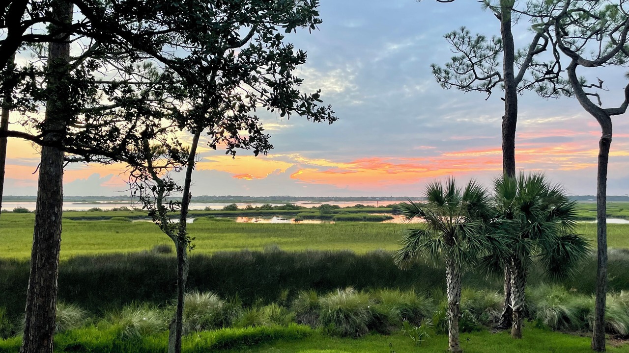 Photo of Outdoor in Saint Augustine Shores