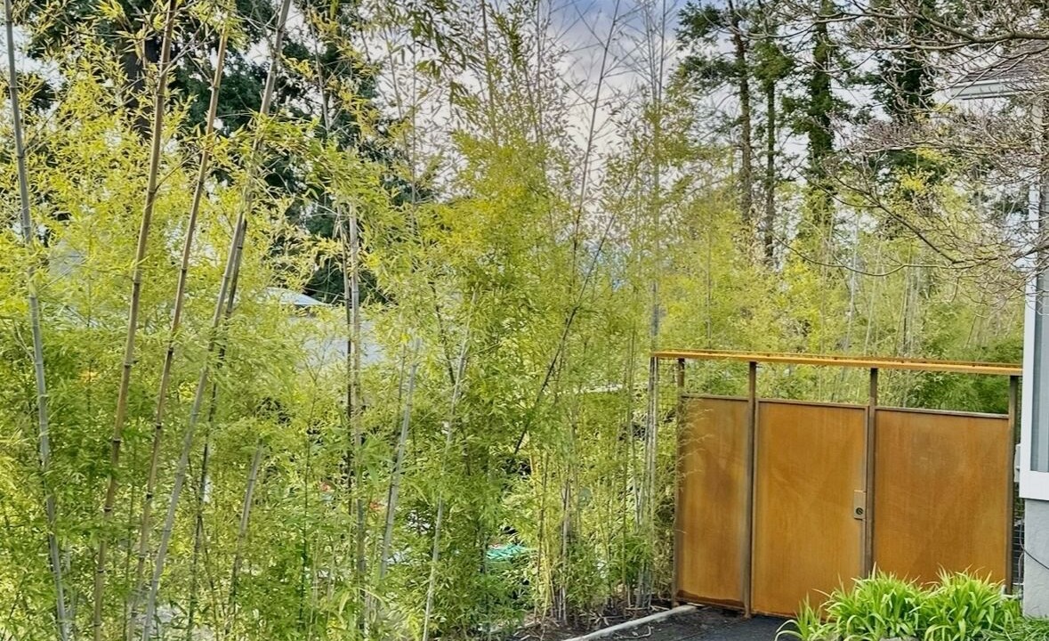 Photo of Outdoor in Tigard