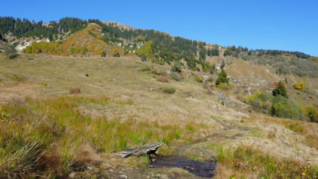 Photo of Outdoor in Acquarossa