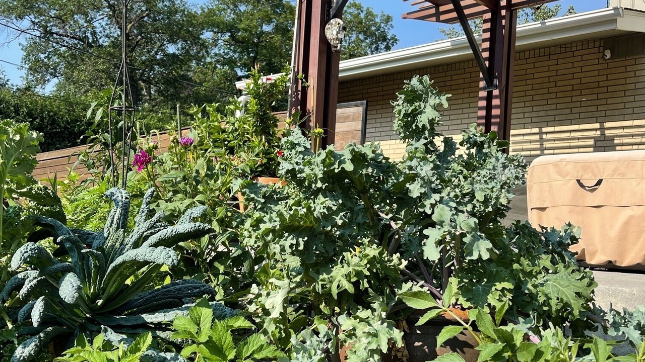Photo of Outdoor in Merriam Park West