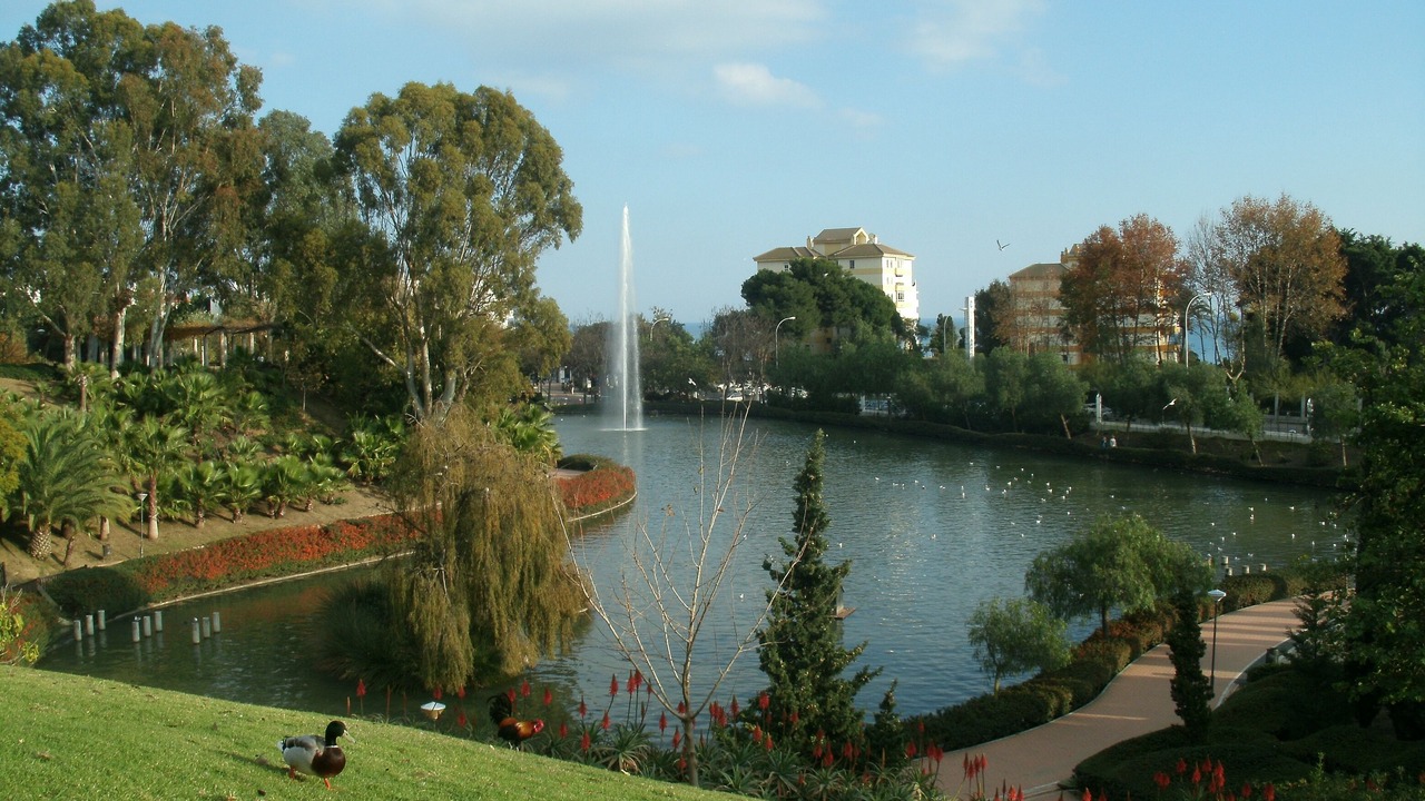Photo of Others in Benalmadena Costa