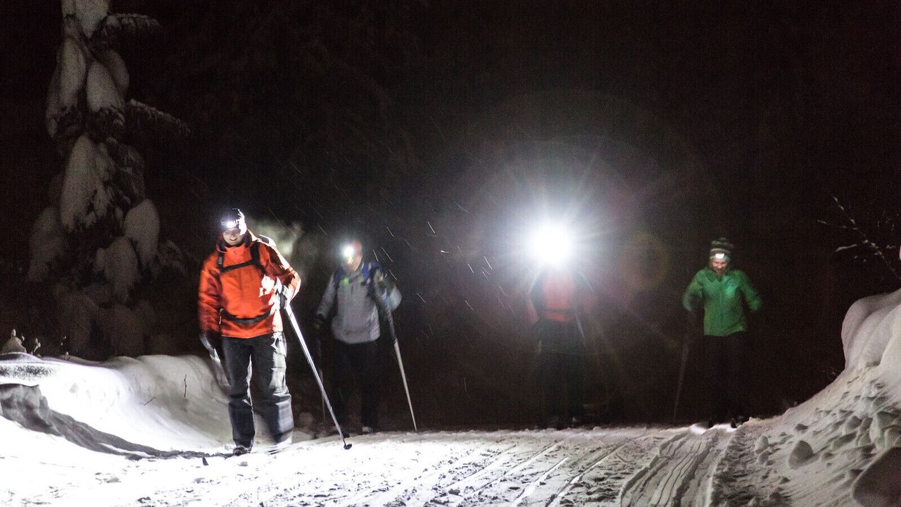 Photo of Others in Rossland