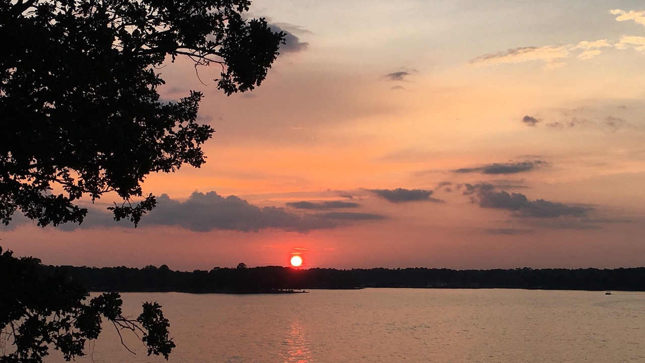 Photo of Others in Lake Hamilton