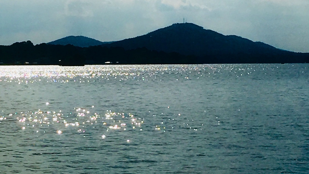 Photo of Others in Lake Hamilton