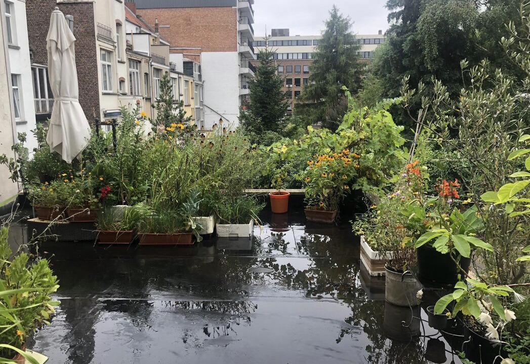 Photo of Outdoor in Etterbeek