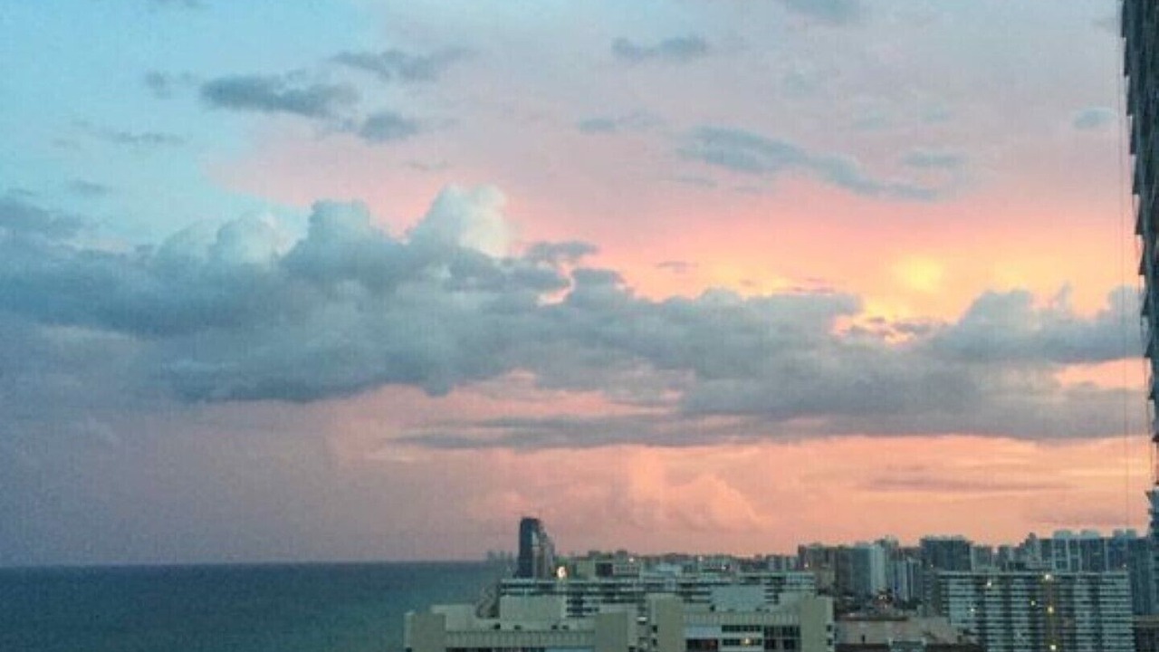 Photo of Others in Hallandale Beach