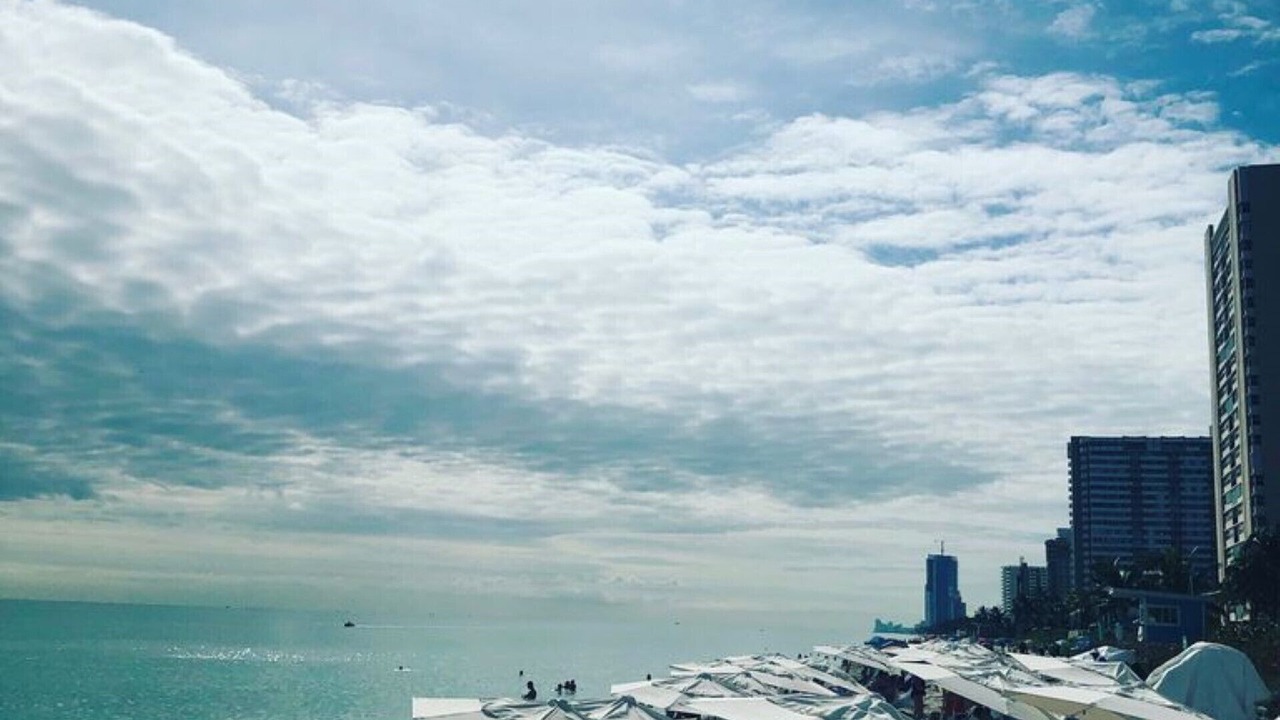Photo of Others in Hallandale Beach