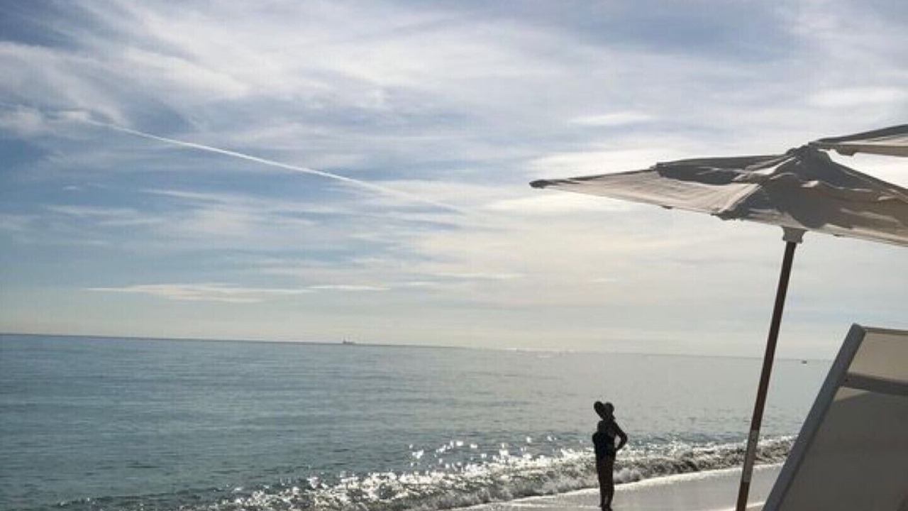 Photo of Others in Hallandale Beach