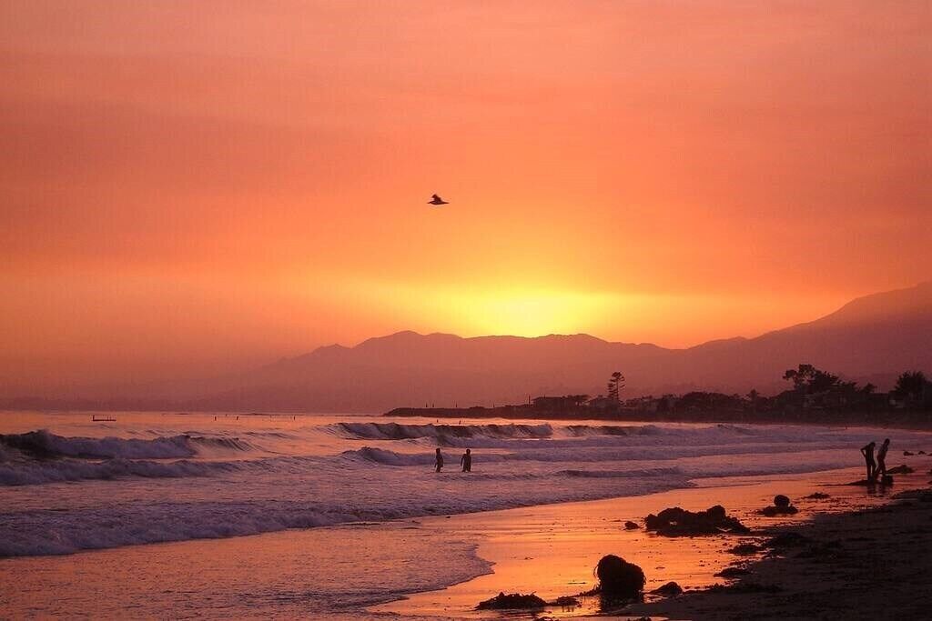 Photo of Others in Carpinteria