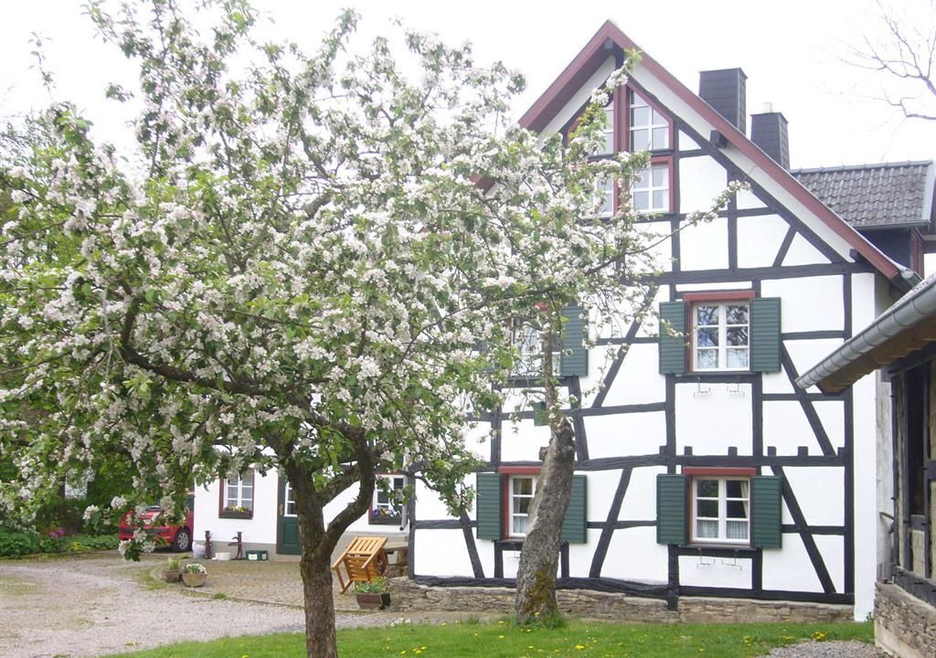 Photo of Outdoor in Hellenthal