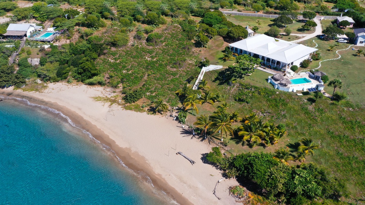 Photo of Others in Treasure Beach