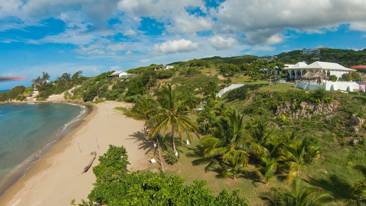 Photo of Others in Treasure Beach