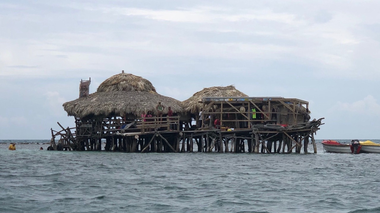 Photo of Others in Treasure Beach