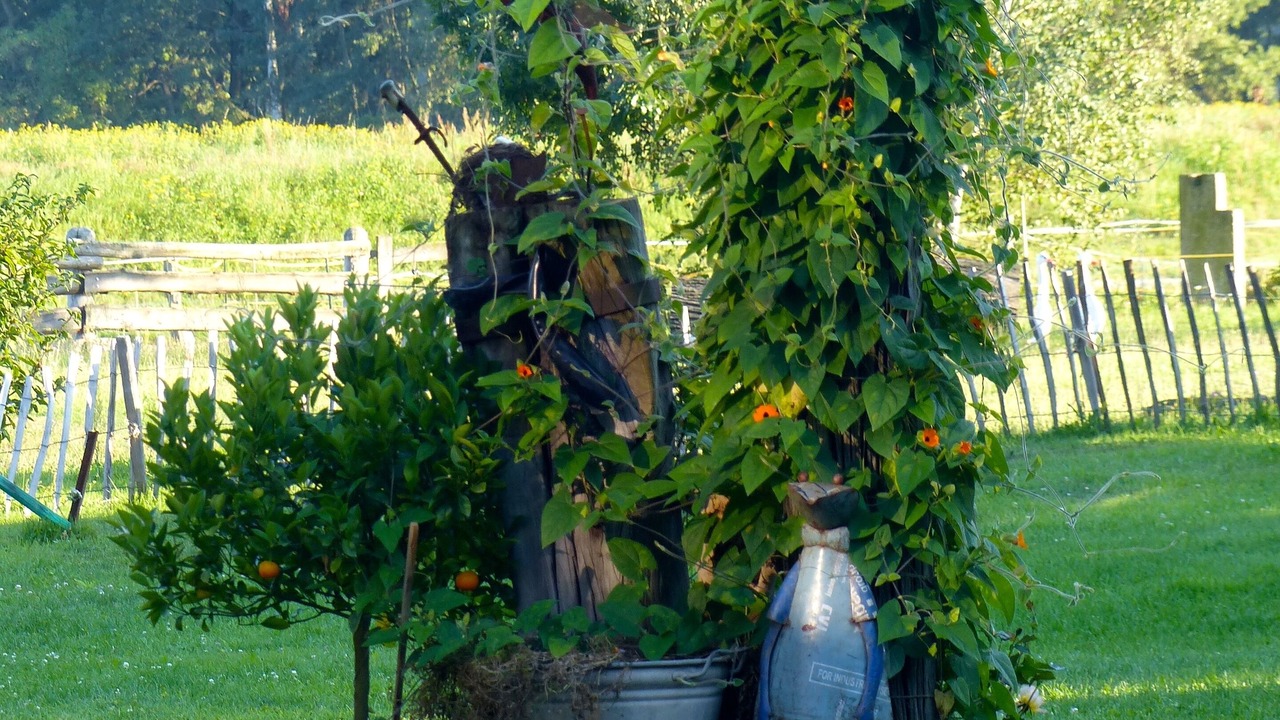 Photo of Outdoor in Wurdenhain