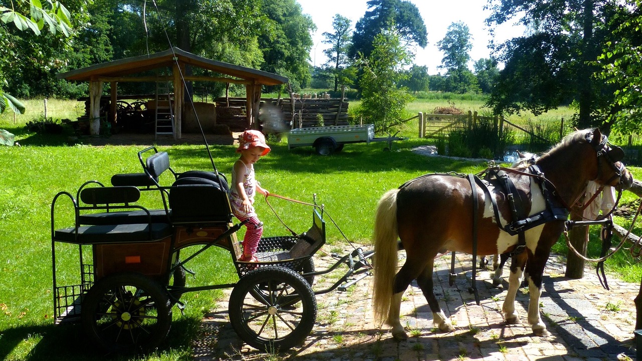 Photo of Outdoor in Wurdenhain