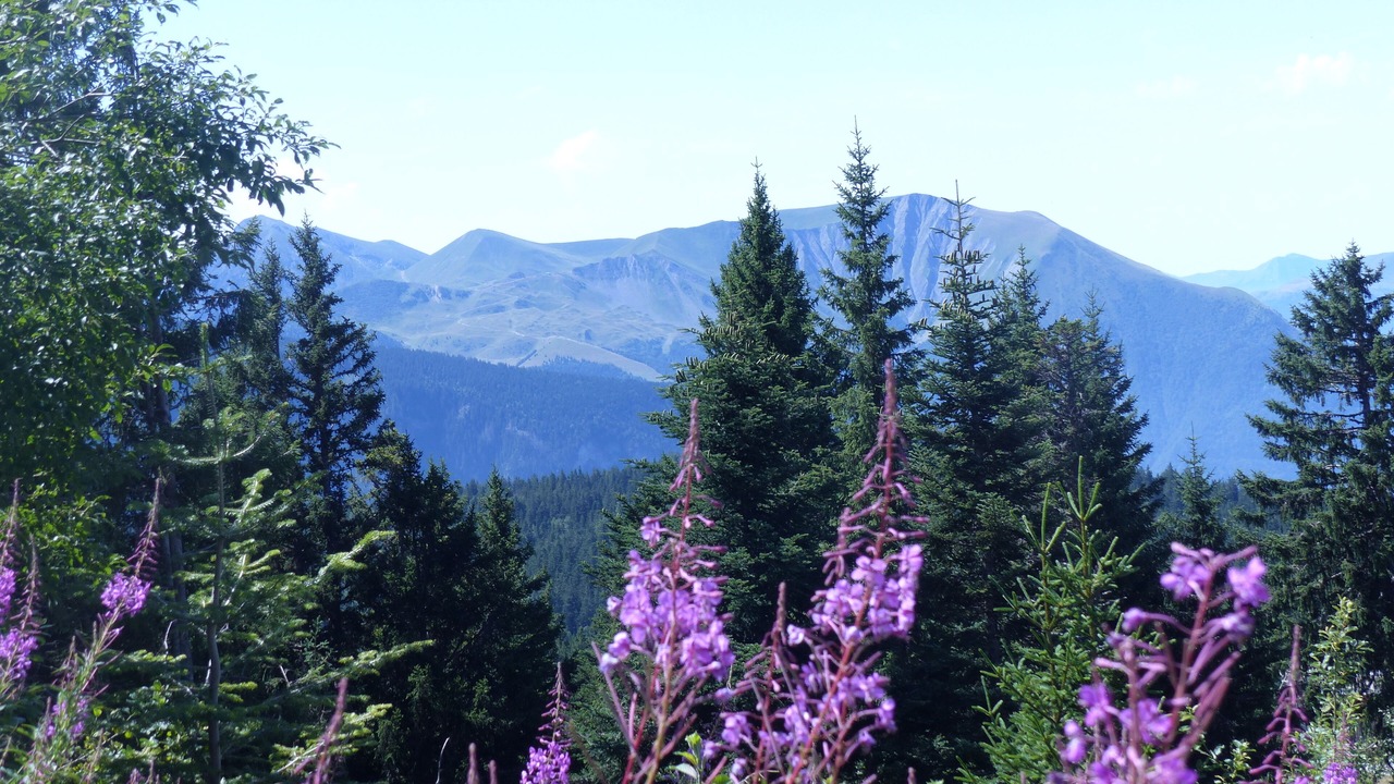 Photo of Outdoor in Chamrousse