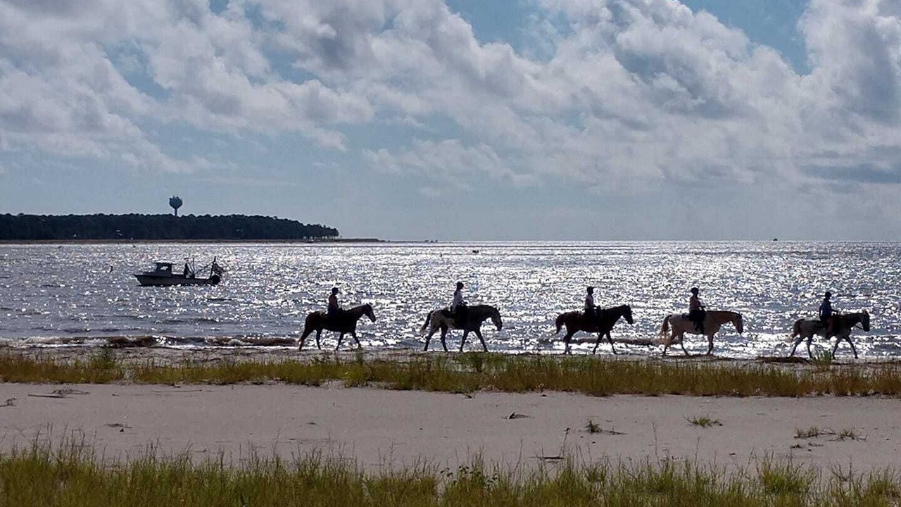 Photo of Others in Melrose on the Beach