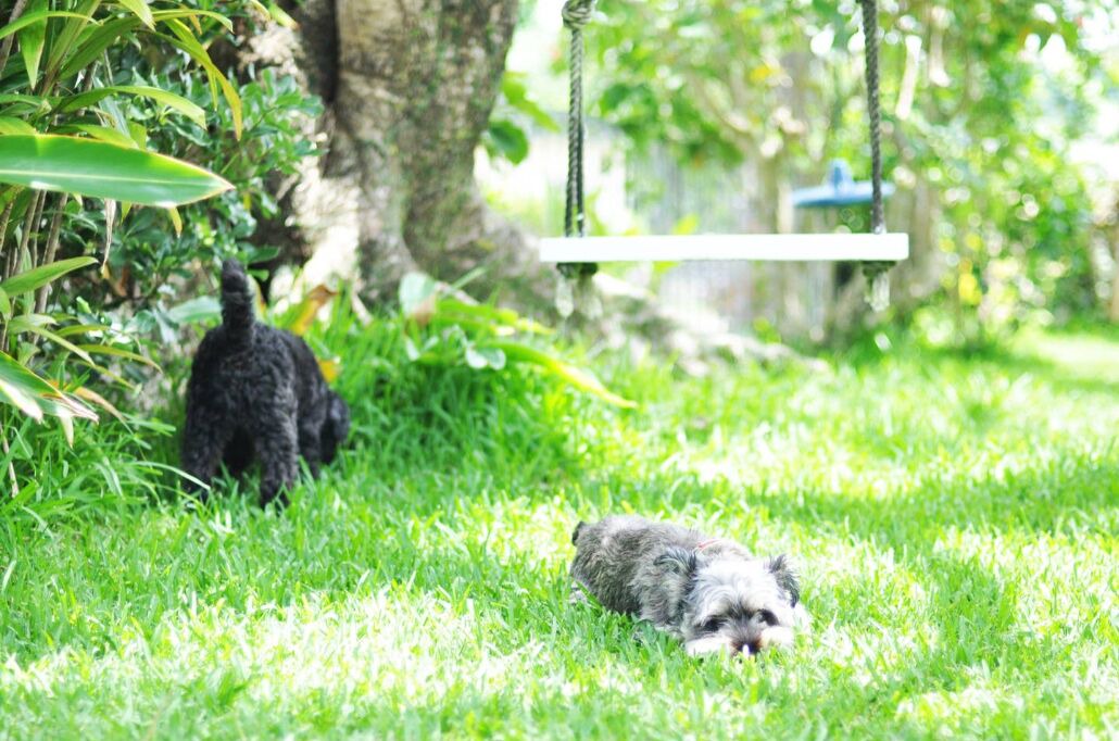 Photo of Outdoor in Ginowan