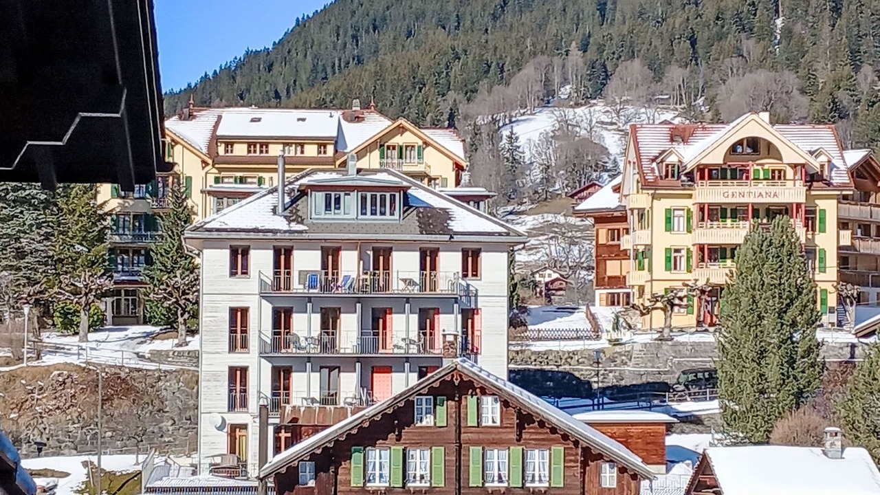 Photo of Others in Wengen