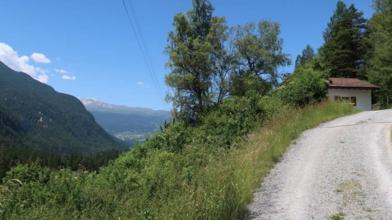 Photo of Others in Albula-Alvra