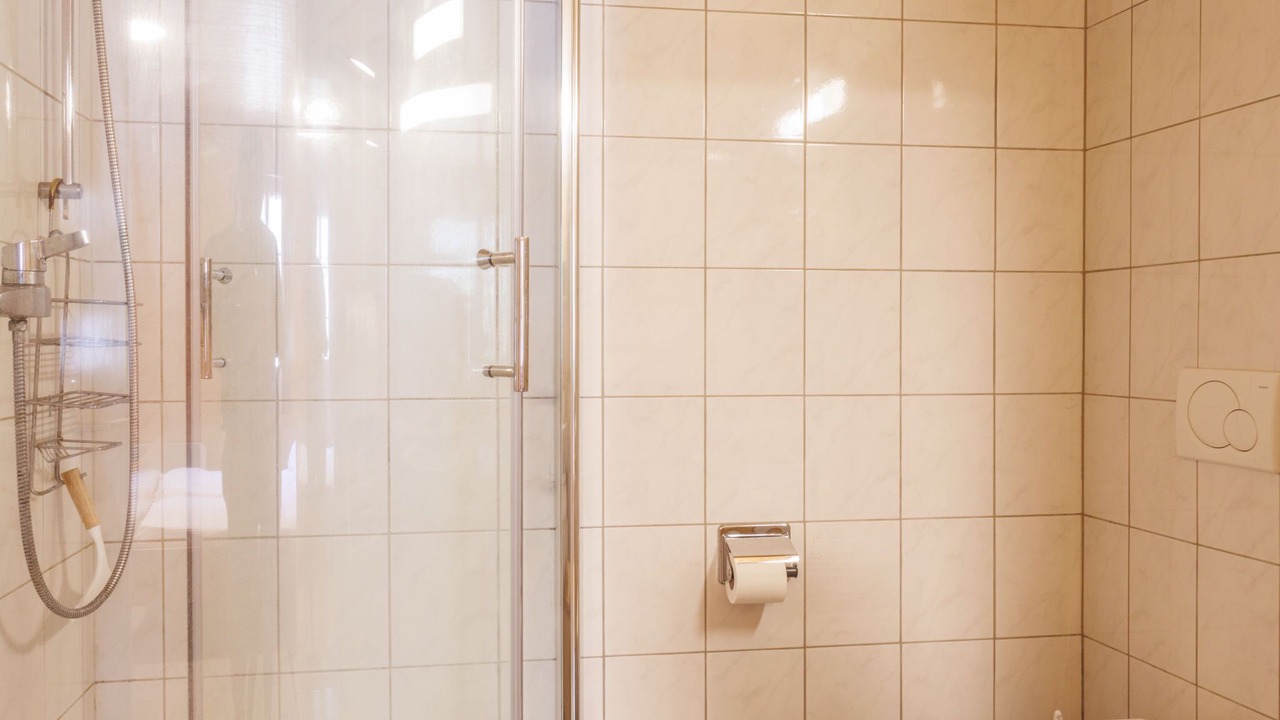 Photo of Bathroom in Zinal