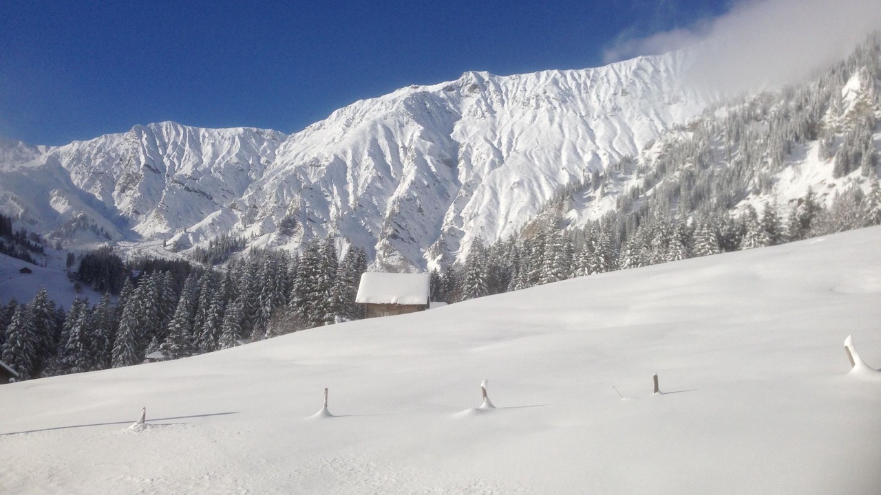 Photo of Others in Adelboden