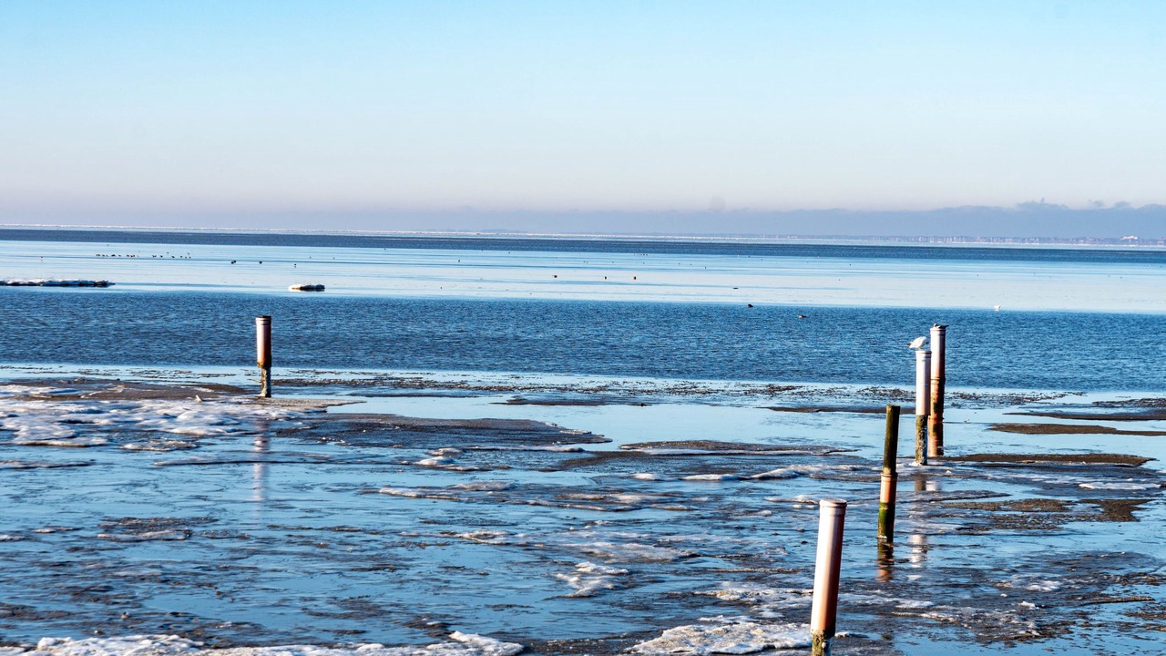 Photo of Others in Norddeich