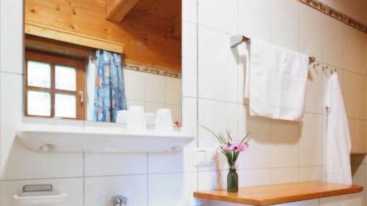 Photo of Bathroom in Schlierbach