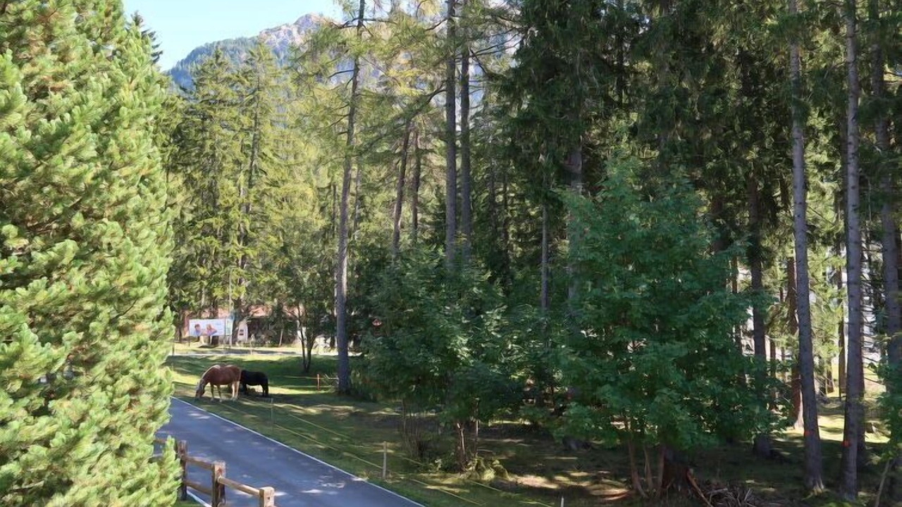 Photo of Others in Lenzerheide