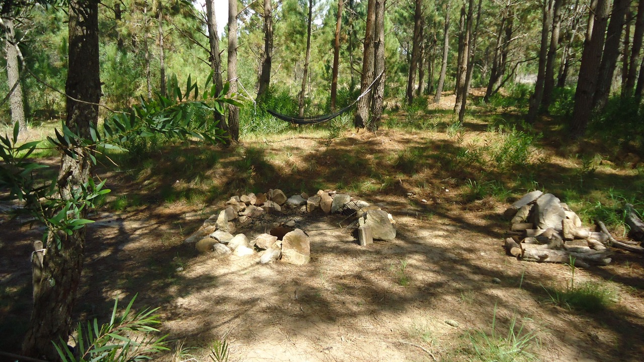 Photo of Outdoor in Rocha