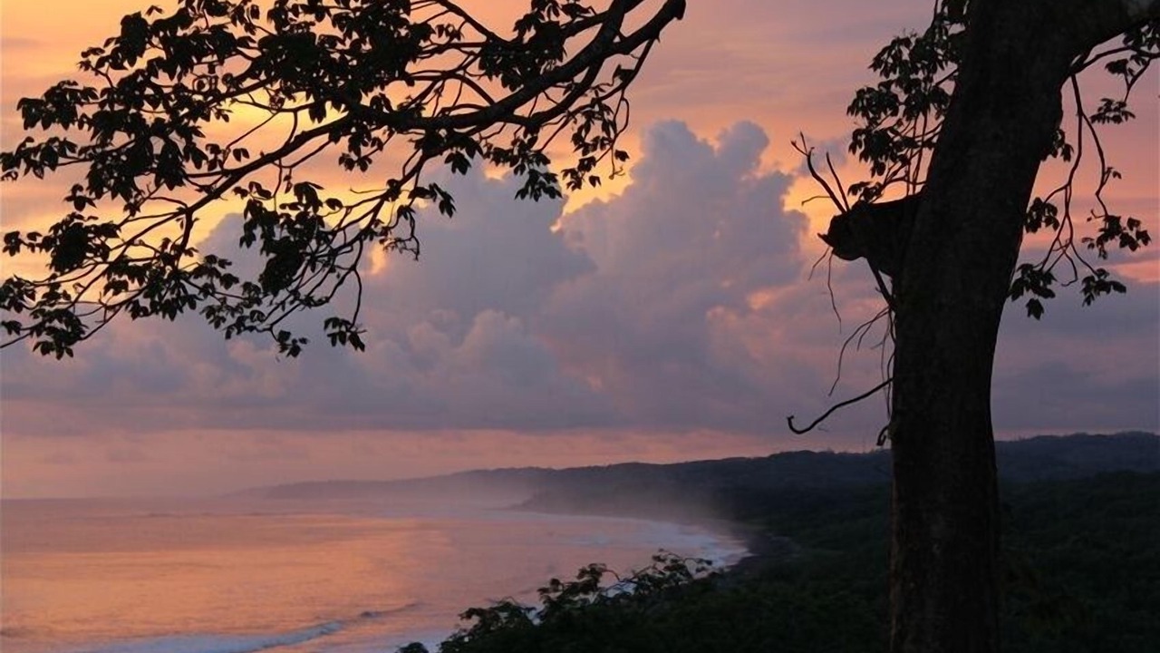 Photo of Others in Nosara