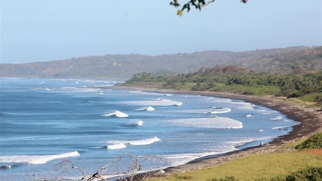 Photo of Others in Nosara
