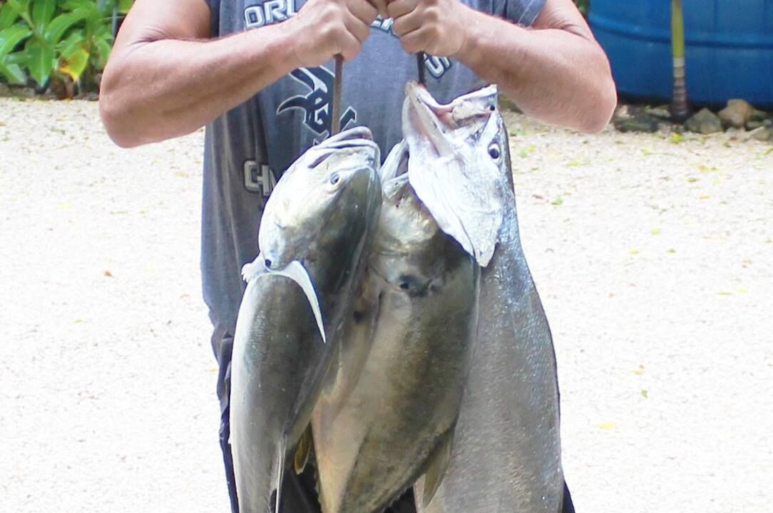 Photo of Others in Nosara