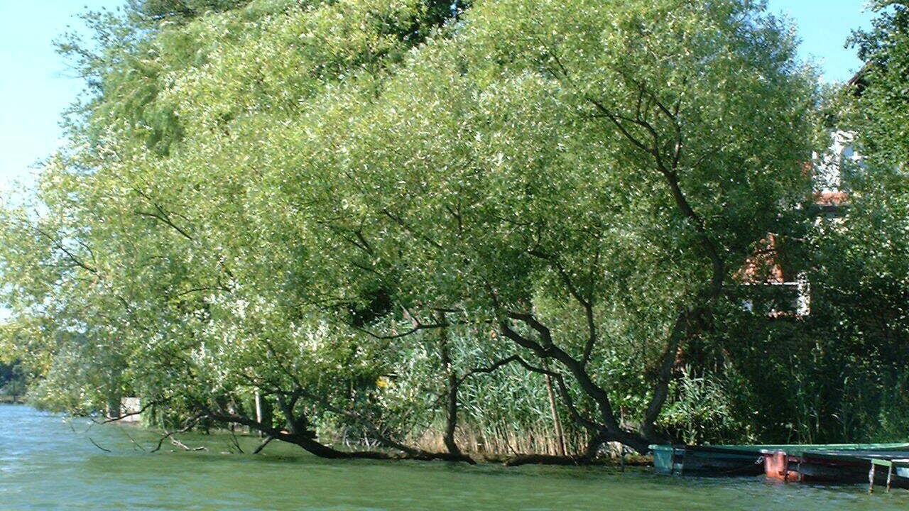 Photo of Outdoor in Tassdorf
