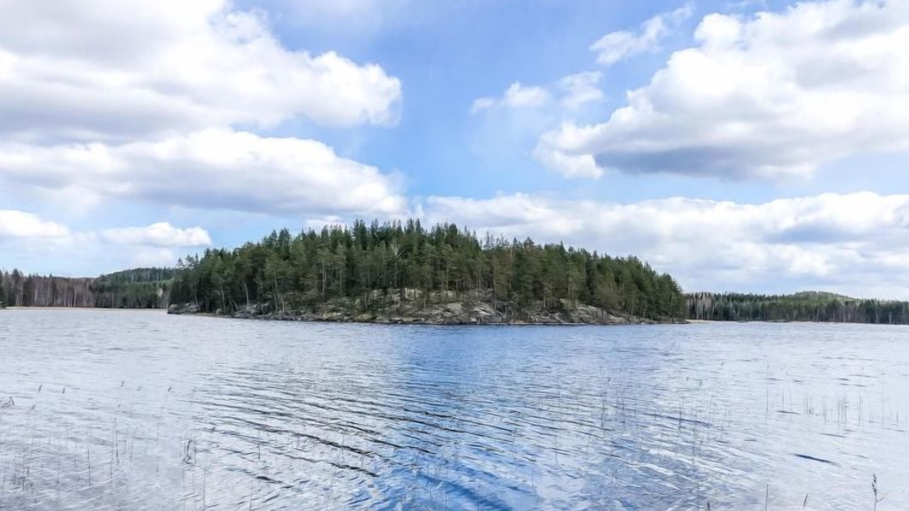 Photo of Others in Enonkoski