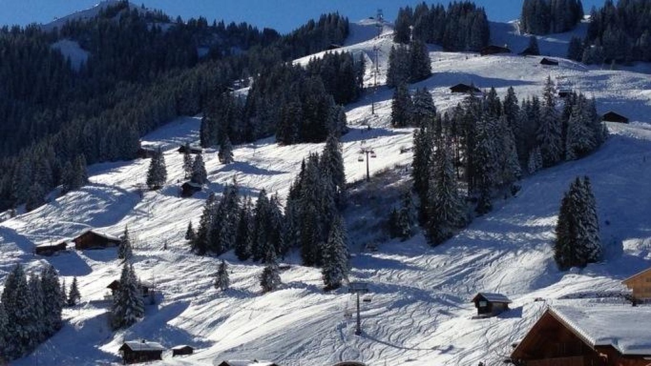 Photo of Others in Adelboden