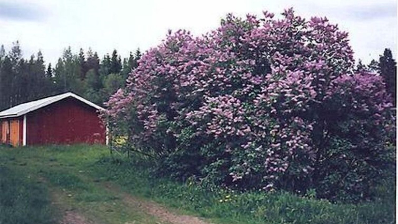 Photo of Others in Hartola