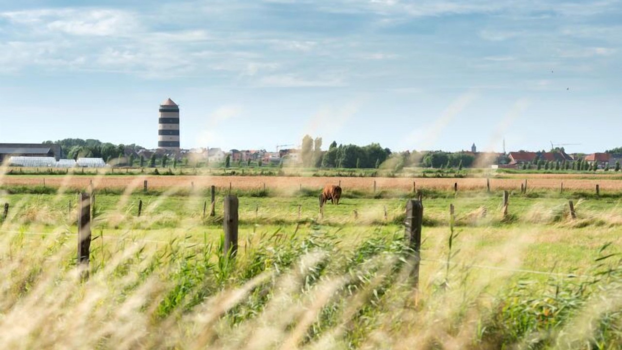 Photo of Outdoor in Bredene