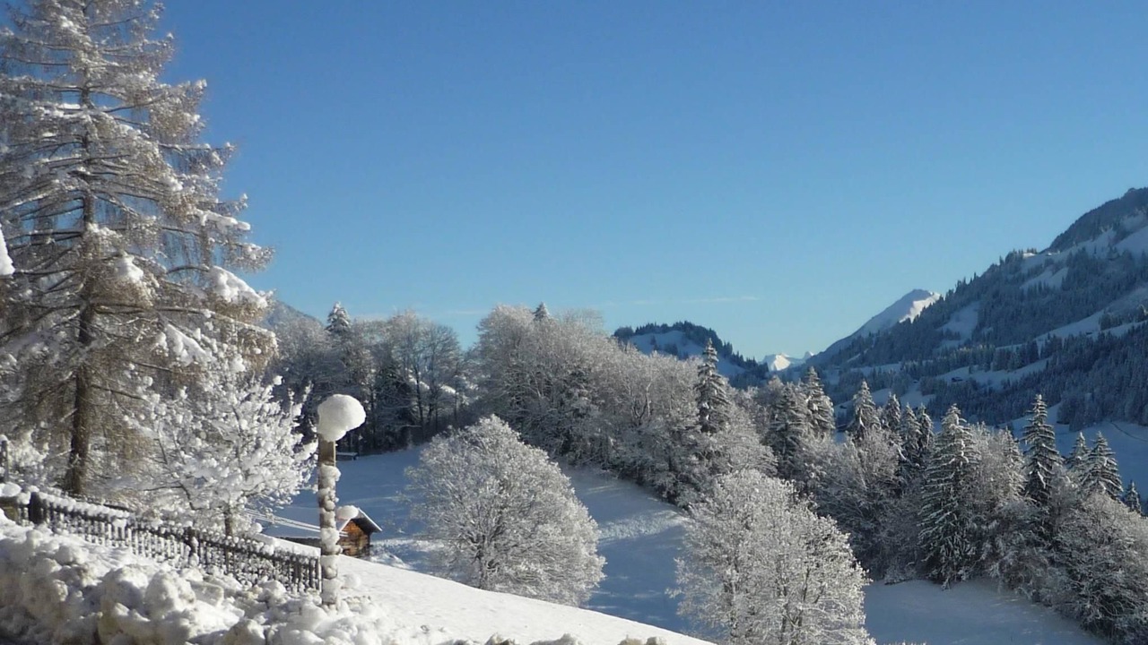 Photo of Others in Boltigen