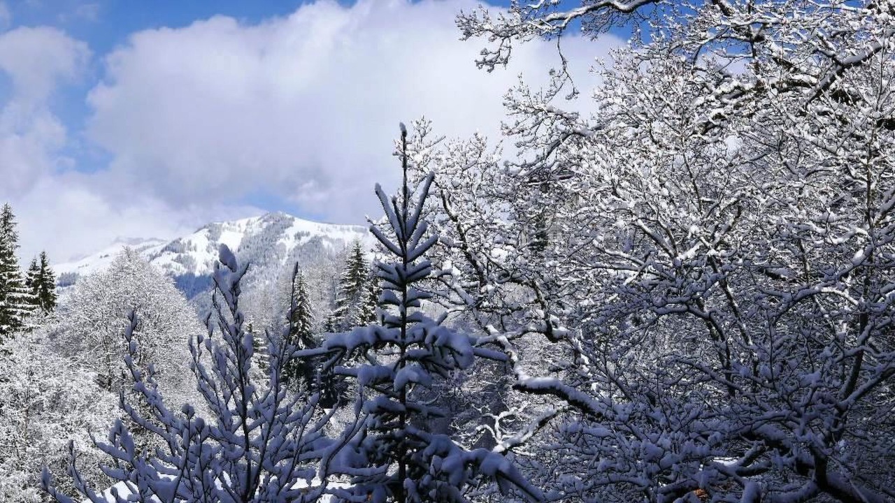 Photo of Outdoor in Gstaad