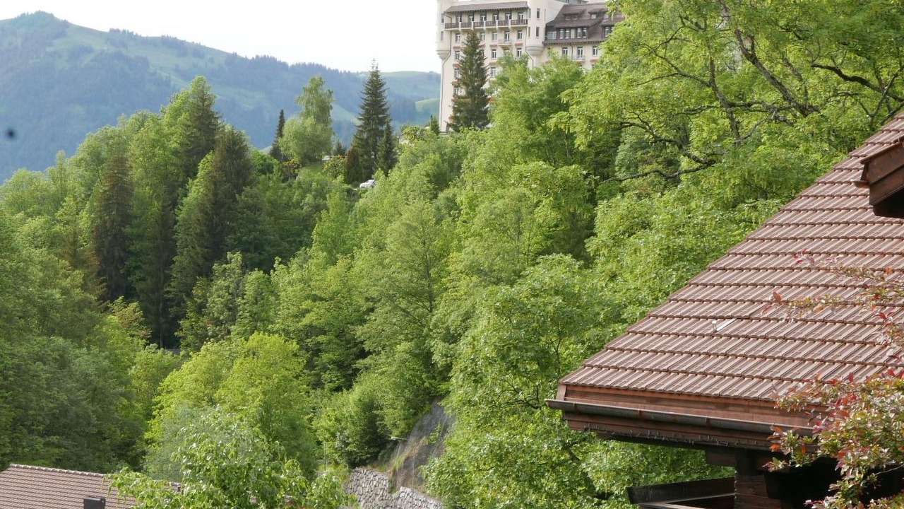 Photo of Others in Gstaad