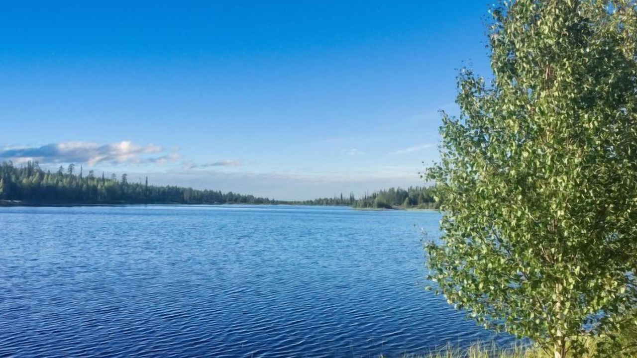 Photo of Others in Salla