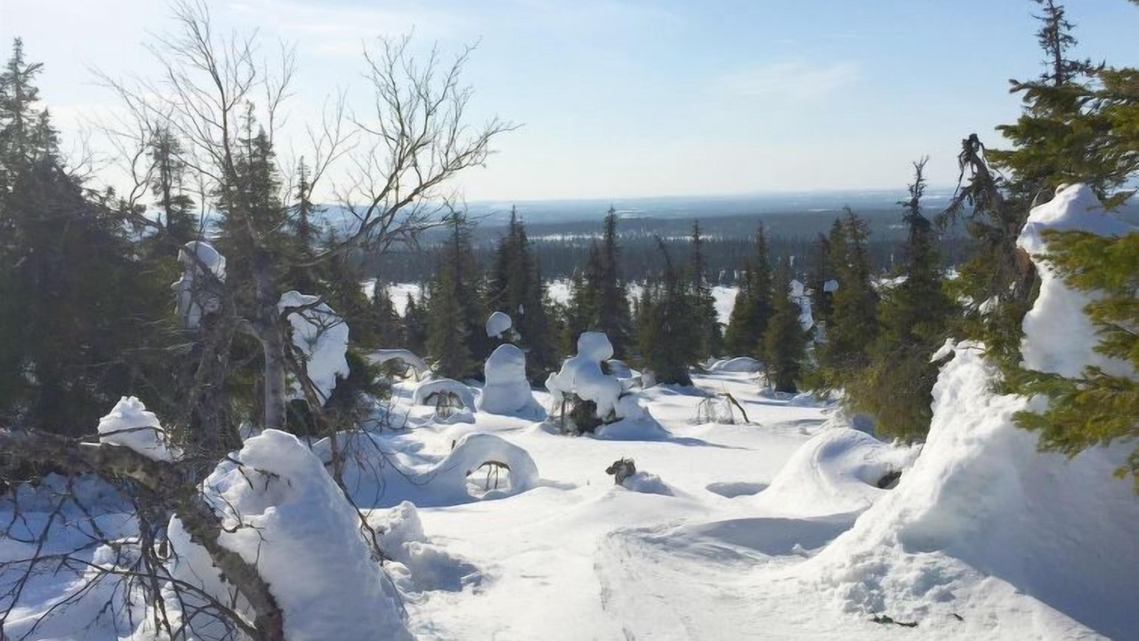 Photo of Others in Salla