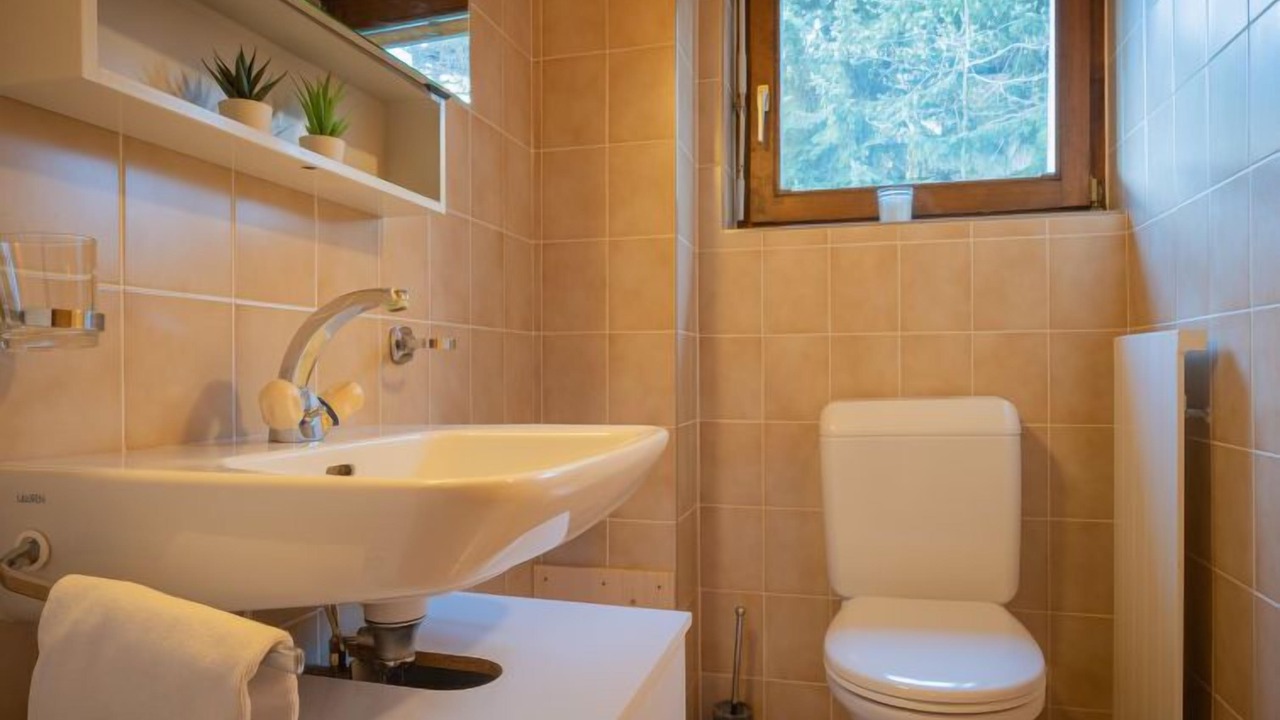 Photo of Bathroom in Ovronnaz
